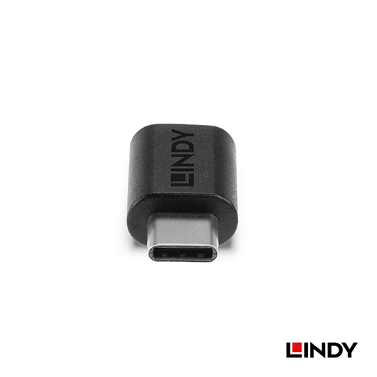 LINDY 林帝 USB3.2 Gen2X2 Type-C 公對母 轉接頭 (41893) 03