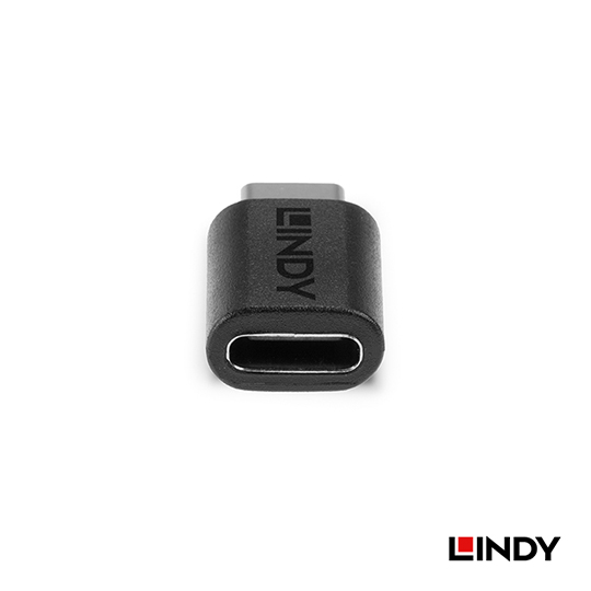 LINDY 林帝 USB3.2 Gen2X2 Type-C 公對母 轉接頭 (41893) 04