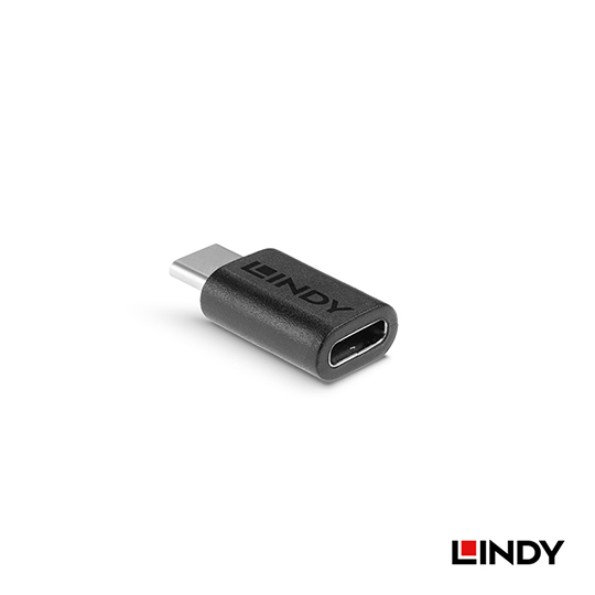 LINDY 林帝 USB3.2 Gen2X2 Type-C 公對母 轉接頭 (41893) 05