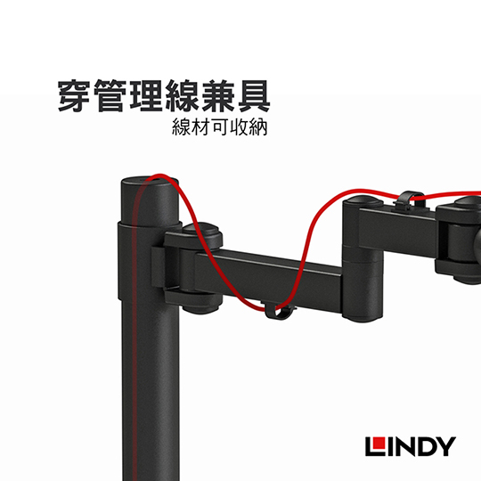 LINDY 林帝 高荷重 液晶螢幕 雙節式單支臂&夾式支架 (40980) 07